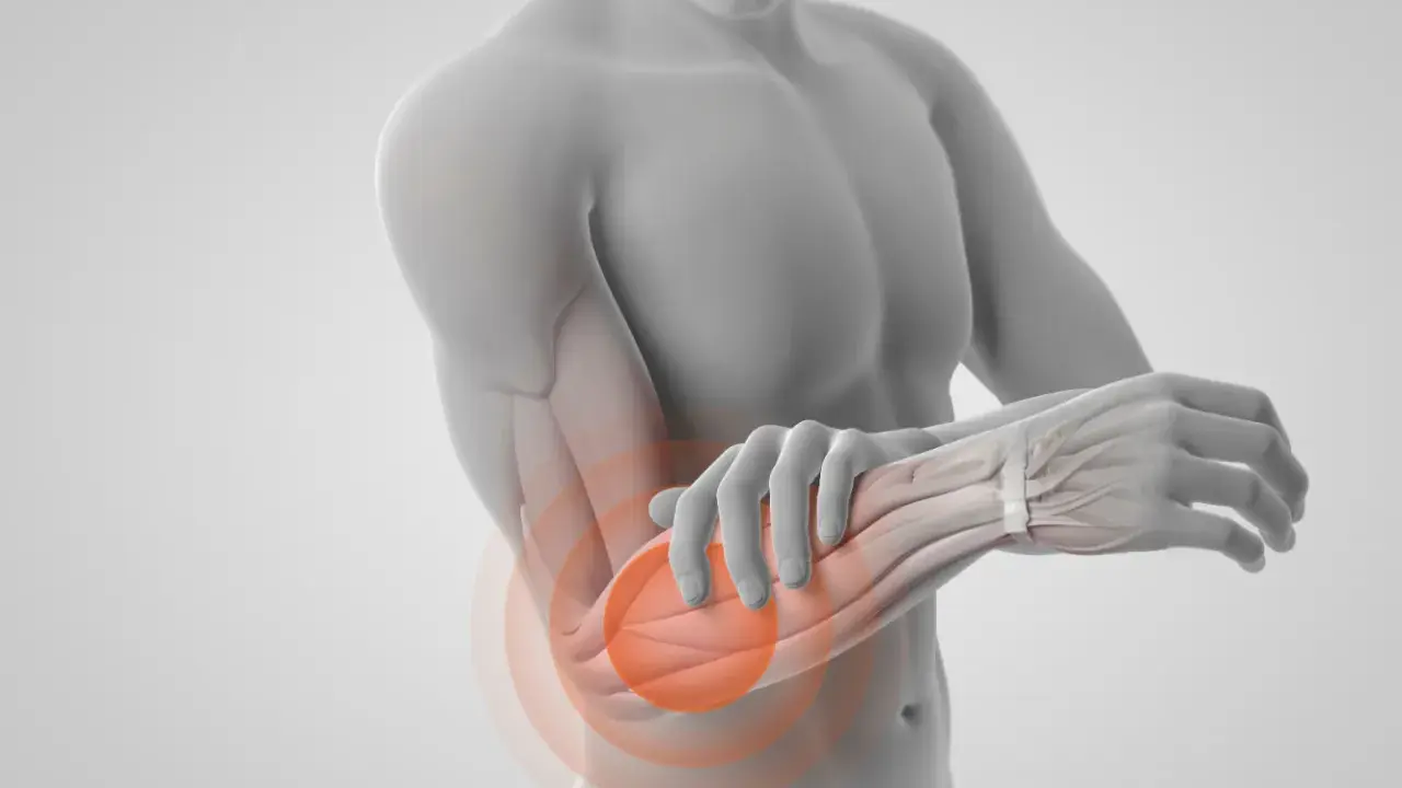 En anatomisk illustration visar muskler i underarmen med en röd cirkel som indikerar smärta.