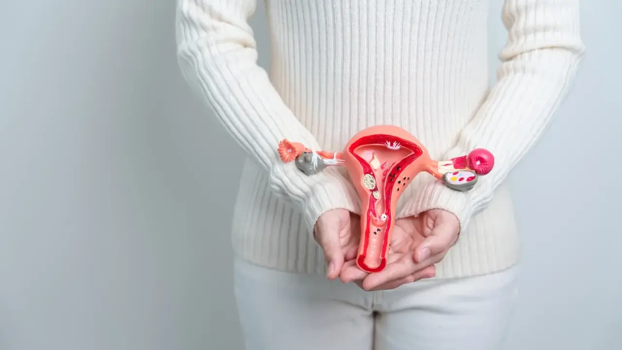 Modell av livmoder med fibrom. Kan en hysterektomi påverka sexlusten?