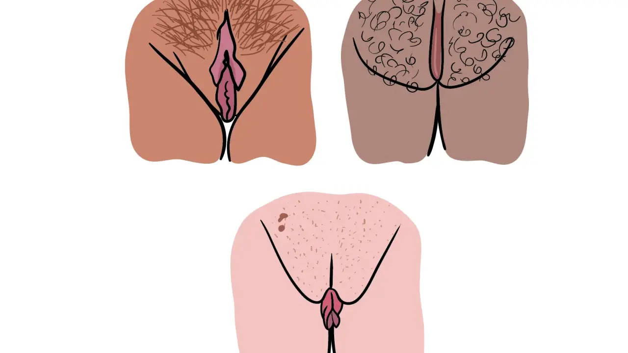 Tre illustrationer visar olika snippa riktig, med varierande mängd könshår och hudtoner.