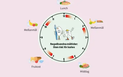 En klocka visar måltider och mellanmål för att främja profylax tandvård. Regelbundna måltider minskar kariesrisk.