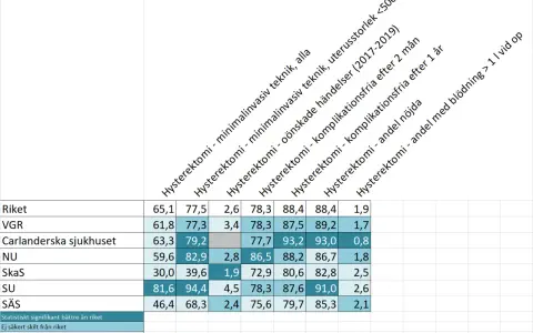 Tabell visar data om hysterektomi, inklusive komplikationer och nöjdhet, med fokus på hormonrubbning efter hysterektomi.