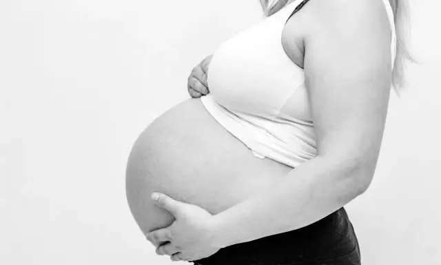 Gravid mage med händer som stöttar. Kanske ont i ljumsken gravid?