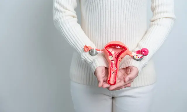 Modell av livmoder med fibrom. Kan en hysterektomi påverka sexlusten?