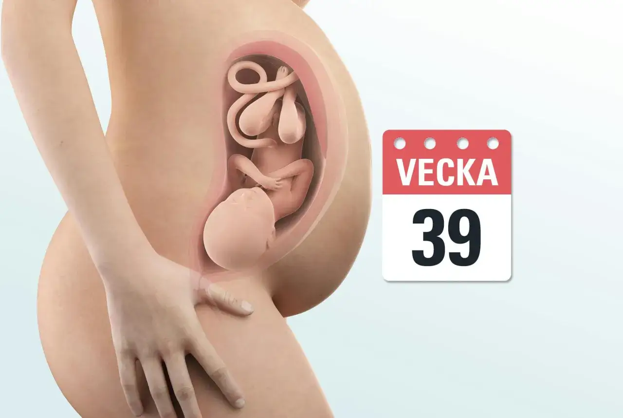 Gravid mage vecka 39 med foster. Kanske dags f&ouml;r de f&ouml;rsta Braxton Hicks-sammandragningarna?