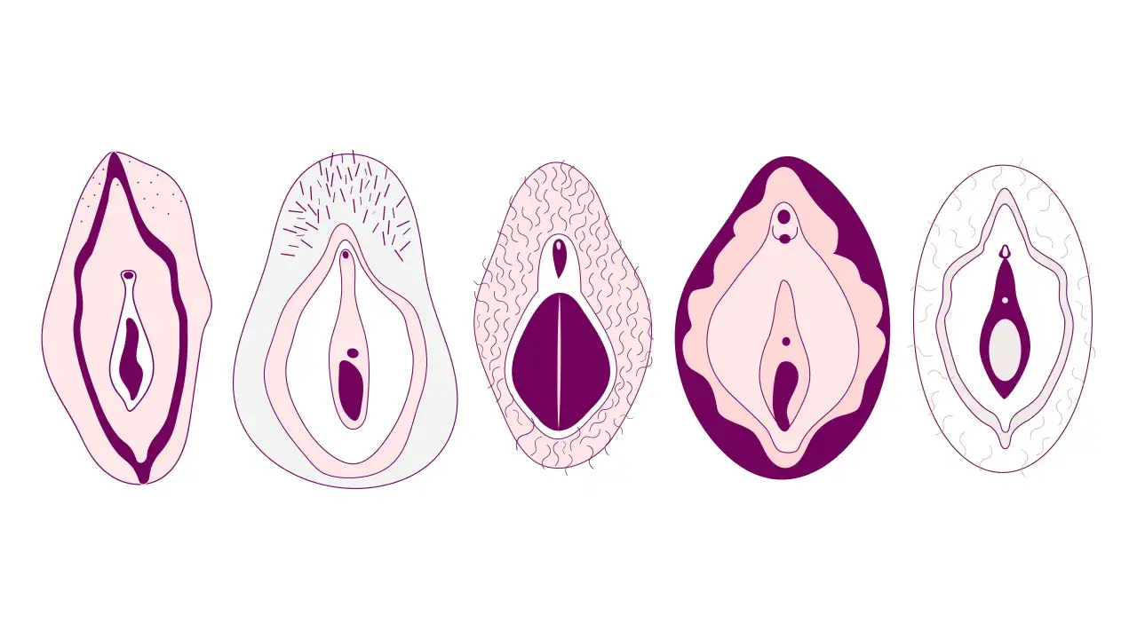 Fem illustrationer av snippa riktig, visar olika former och variationer.
